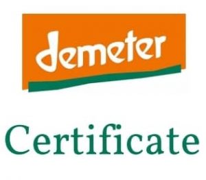 certificate (3)